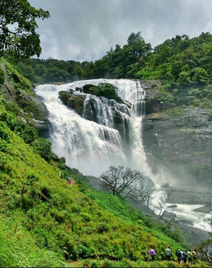 Coorg Coffee Park Farmstay Somvārpet 외부 사진