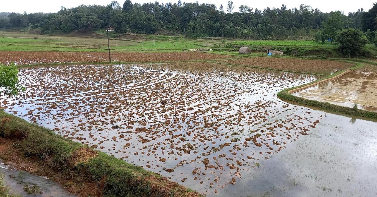 Coorg Coffee Park Farmstay Somvārpet 외부 사진