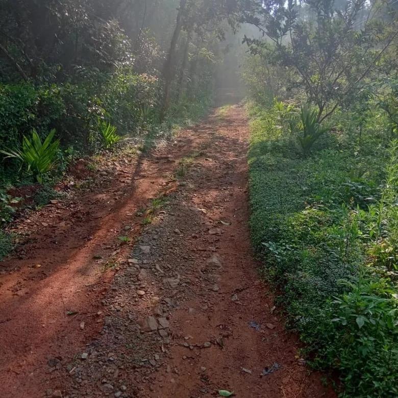 Coorg Coffee Park Farmstay Somvārpet 외부 사진
