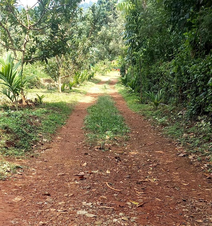 Coorg Coffee Park Farmstay Somvārpet 외부 사진