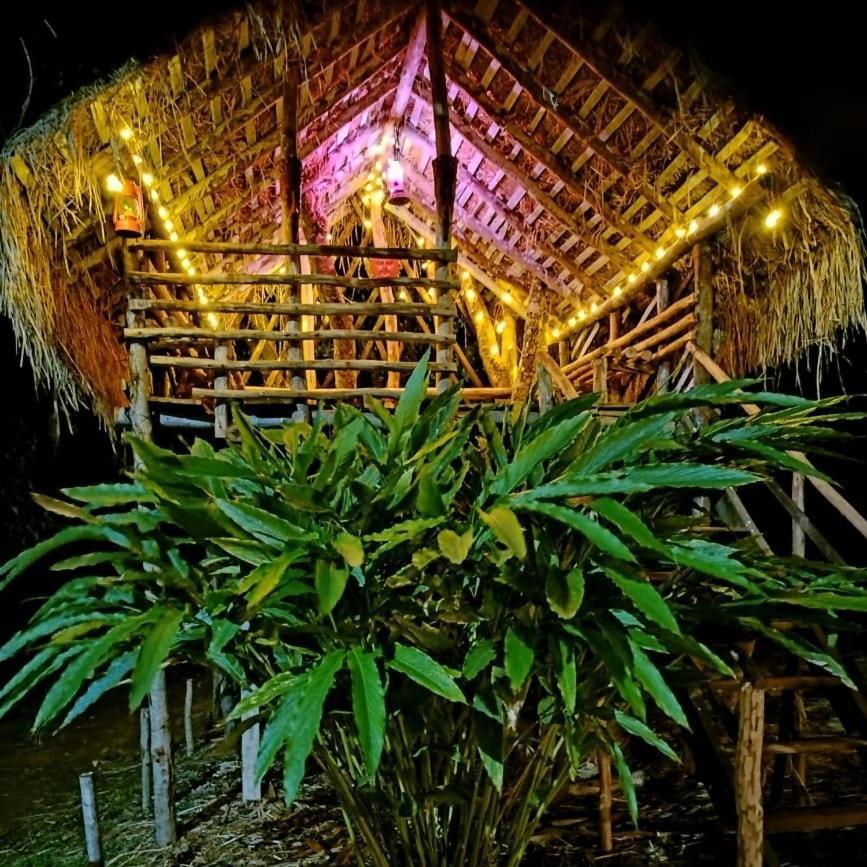 Coorg Coffee Park Farmstay Somvārpet 외부 사진