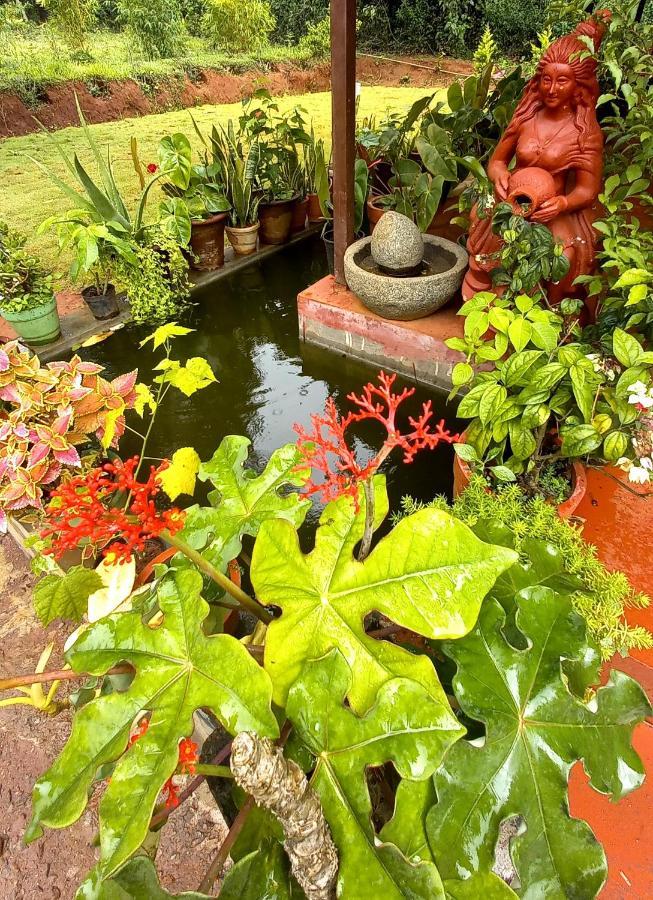 Coorg Coffee Park Farmstay Somvārpet 외부 사진