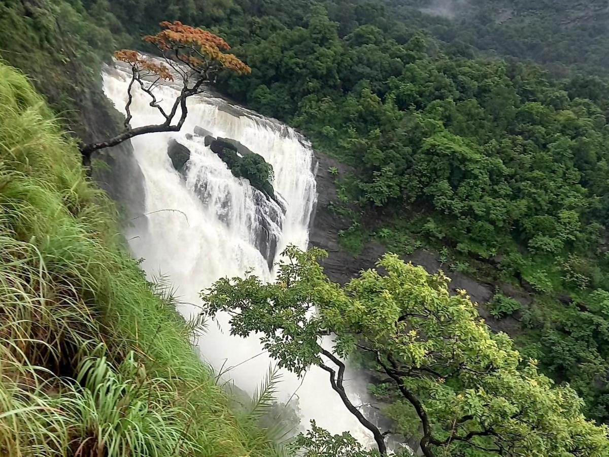 Coorg Coffee Park Farmstay Somvārpet 외부 사진