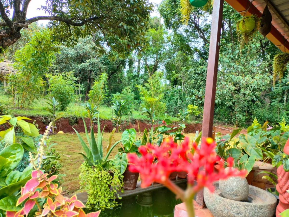Coorg Coffee Park Farmstay Somvārpet 외부 사진