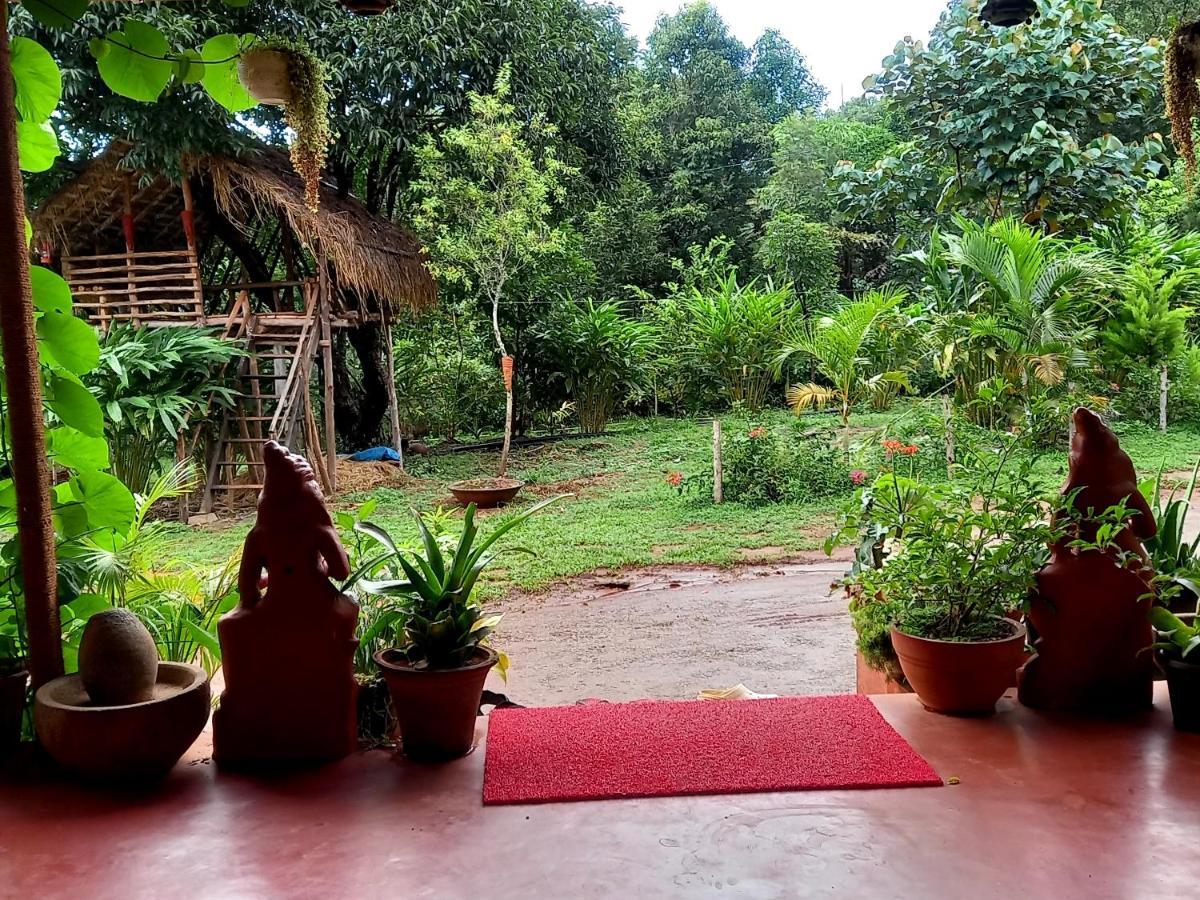 Coorg Coffee Park Farmstay Somvārpet 외부 사진