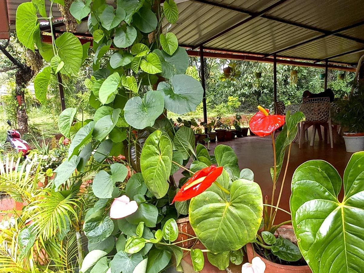 Coorg Coffee Park Farmstay Somvārpet 외부 사진