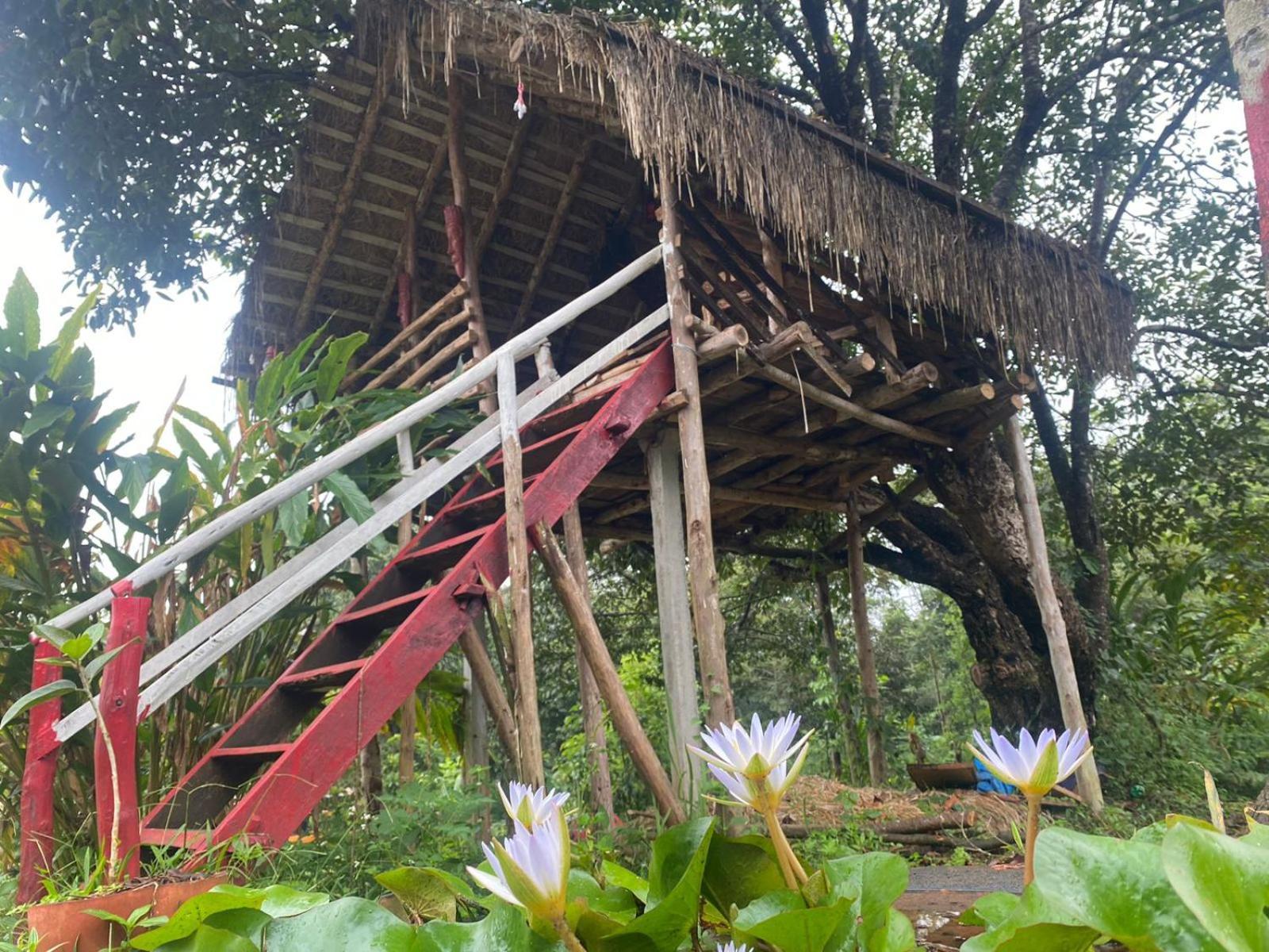 Coorg Coffee Park Farmstay Somvārpet 외부 사진